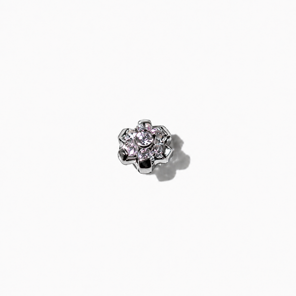 Titanium Tops (Flower)
